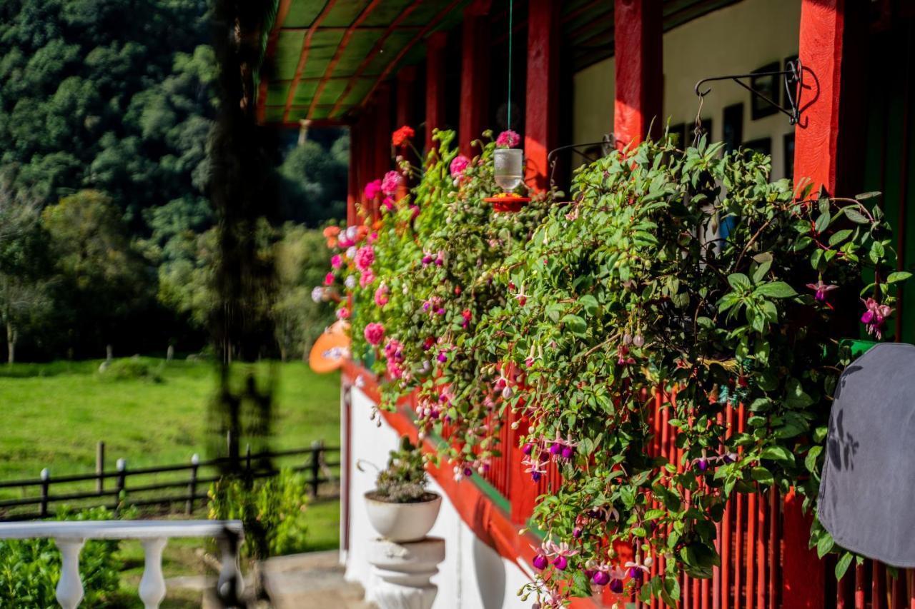Finca La Playa Ecohotel - Experiencia Campestre - Σαλέντο Εξωτερικό φωτογραφία